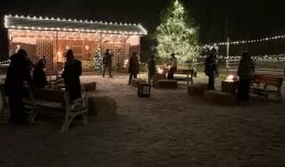 Fire Pit Image