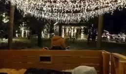 The highlight of your night is sure to be the hayride through Christmas lights.