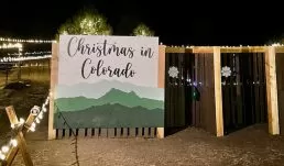Weave your way through our decorated Christmas maze.