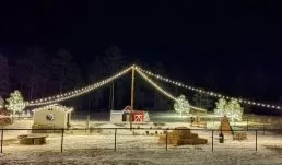 Visit the Kids’ Corral where you can meet the animals, climb on our numerous play structures, swing on the tire swings and much more!